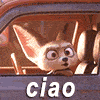 A cat putting on glasses - ciao gif