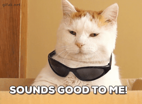 Cute Cat gif - Sounds Good